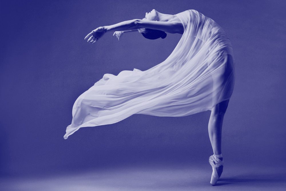 Athlete and Dancer Physiotherapy Performance Profiling